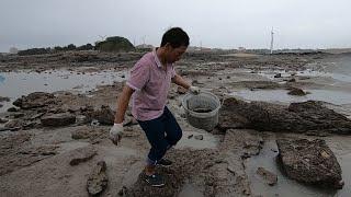 阿雄淋雨抓螃蟹，抓一堆回去给家人当晚餐，天气不好真难啊