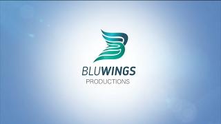 The Best Agency Promo - Blu Wings | Creative Agency | Production House | Studio