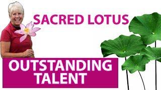 Outstanding Talent Lotus, with Laura Bancroft and Jennings Brower. What do we love about this Lotus?