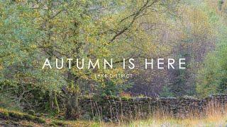 Autumnal Landscape Photography in the Lake District