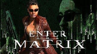 Enter The Matrix Review - Gggmanlives