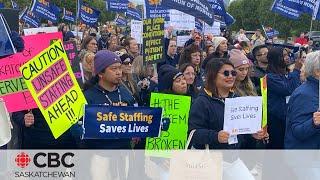 Nurses are frustrated with the state of health care in the province and took to the legislature