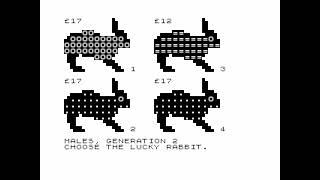 Rabbits for the ZX81