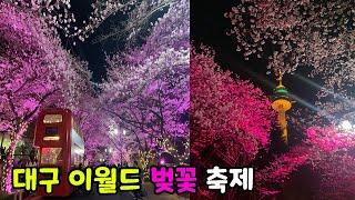 [ENG] 대구 두류공원 & 이월드의 아름다운 벚꽃 야경 투어