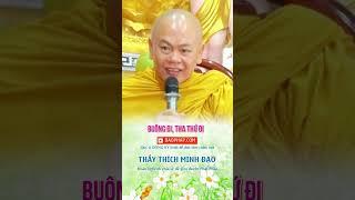 BUÔNG ĐI, THA THỨ ĐI | Sư Thầy Thích Minh Đạo | Tu viện Minh Đạo, Bà Rịa Vũng Tàu