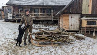 Life in a Mountain village Far from Civilization, harvesting firewood on sleds.