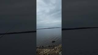 Рыбачим вместе с Грэгом