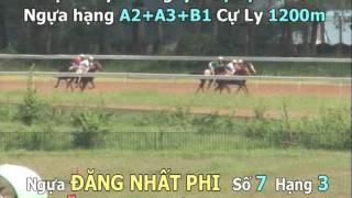 DANG NHAT PHI 10 73