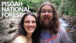 Why we LOVE Pisgah National Forest | ASHEVILLE, NC