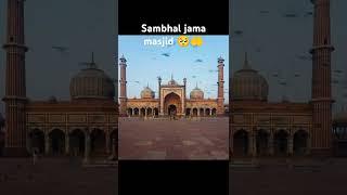 Sambhal jama masjid #jamamasjid #masid #sambhal #trending #shorts #viralshort #shortsfeed #ytshorts