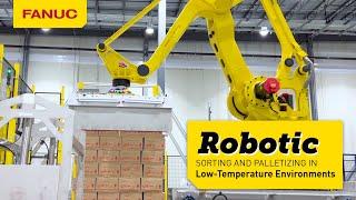 Robotic Ice Cream and Frozen Dessert Sorting and Palletizing