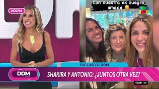  Shakira y ANTONIO DE LA RÚA: ¿JUNTOS OTRA VEZ?