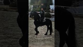 إطلالات الرئيس الشرع#أحمد_الشرع #explore #اكسبلور #youtubeshorts #سوريا #السعودية #دمشق #الجولاني