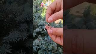 Серьги конго из серебра