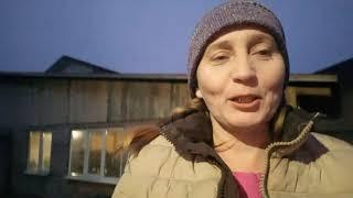 Новый кормовой стол для коз.