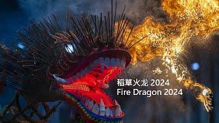 Mysterious Revelation of the Fire Dragon 2024 稻草火龙 2024