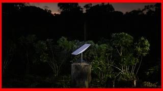 Starlink Internet Comes to The Amazon Rainforest