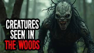 22 UNEXPLAINED & DISTURBING Creatures Seen in the Woods | VOL 6