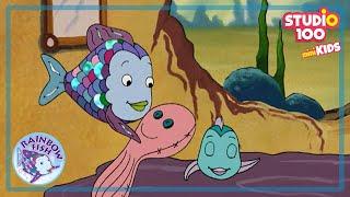 Sibling Rivalry - E16 -  RAINBOW FISH - STUDIO100 miniKIDS - KIDS CARTOONS