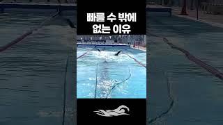 수영 선수들이 빠를 수 밖에 없는 이유