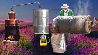 Lavender Harvest & Homemade Oil Distillation