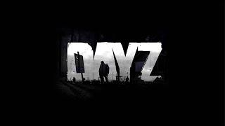 DAYZ Swans Island