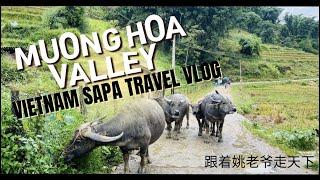 Vietnam North Hanoi Trip - Muong Hoa Valley (芒花谷）