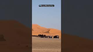 Morocco day trip  #Morocco #maroc #marruecos #tour #trip #dubai #sahara #desert #marriage #marrakech