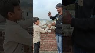 Agar khilane ki auqat na hoto pala bhi Mt kro  | birds humanity | #shorts #viral #youtubeshorts