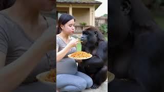 What about the woman who married the gorilla? #gorillababy #animals #cute #zoo #gorilla#baby