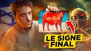 Cette vache causera la destruction d'Al-Aqsa ? (La prophétie de la vache rouge)