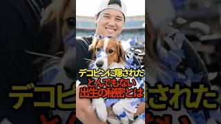 デコピンの出生の秘密とは？ #プロ野球 #shorts #大谷翔平
