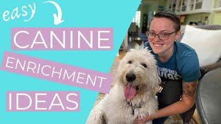 Enrichment for Dogs (Easy Dog Enrichment Ideas!) || THE KIND CANINE