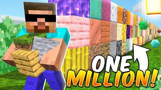 MINECRAFT BUT I PLACE 1,000,000 BLOCKS...