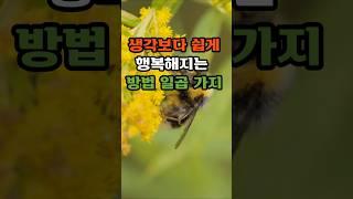 생각보다 쉽게 행복해지는 방법 일곱가지#명언#감정#용서#회복#용기#성장#희망#자존감#명상#감사#위로#행복