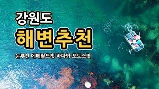 동해바다 여름 추천여행지와 인생사진명소 | 강원도 바다 | 삼척해수욕장 | 사근진해변 | 순포해변 | 삼척 장호항 | 드라마 도깨비촬영지영진해변 | BTS 버스정류장 |맹방해수욕장