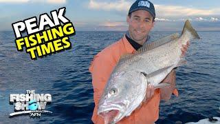 FISHING BITE TIMES! Understanding Peak Fishing Times