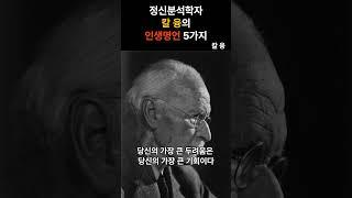 정신분석학자 칼 융의 인생명언 5가지 #칼융