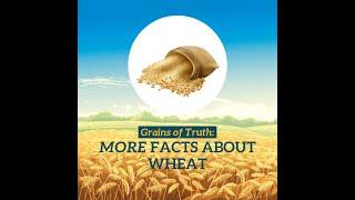 Grains of Truth (Part 2)