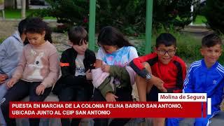 El Ayuntamiento de Molina de Segura inaugura la colonia felina en el Barrio de San Antonio