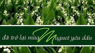 ĐÃ TRỞ LẠI MÙA MUGUET YÊU DẤU / NHẠC LẠI QUỐC HÙNG / TIẾNG HÁT NGỌC QUY  /