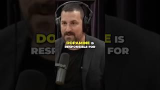 Andrew Huberman on Dopamine | JRE #1513