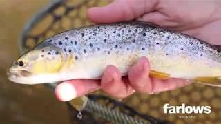 Nick's Beginners Guide to Fly Fishing On Rivers