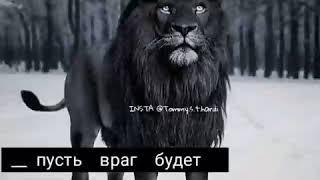 Пусть будет враг лев, чем друг шакалами