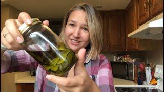 How to make STEVIA EXTRACT at home (SO EASY!!) | Auxhart Gardening