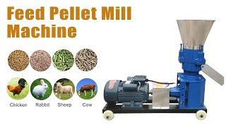 Hot Sale Feed Pellet Mill for Poultry Feed, Cattle Feed, Rabbit Feed: Animal Feed Making Machine