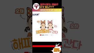 빌어서받는테슬라