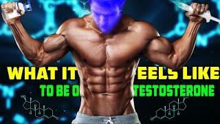 What It Feels Like To Be On Testosterone