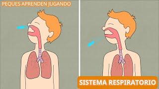 El sistema respiratorio para niños  Video del aparato respiratorio de Peques Aprenden Jugando