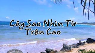 BIỂN CÂY SAO HÀM NINH THÀNH PHỐ PHÚ QUỐC